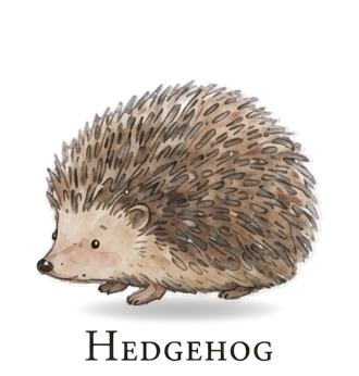 Hedgehog